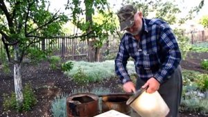 КУРИНЫЙ ПОМЁТ, пропорции приготовления ПОЛИВОЧНОГО раствора