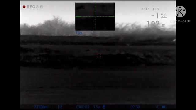 Охота на волка на вабу!!! Добыта матёрая волчица!!! смотреть онлайн