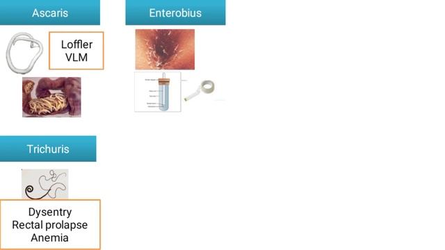 GIT module Key words ?️?️ смотреть онлайн
