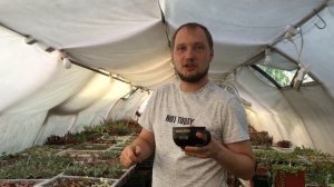 Какими препаратами обработать суккуленты от вредителей?