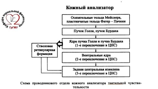 Методы эстезиометрии и термоэстезиометрии