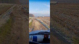 зил 4331 на уборке кукурудзы