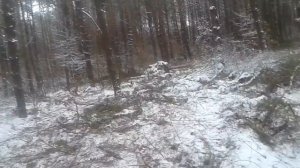 трелевка по лесу, самодельный захват. видео 2