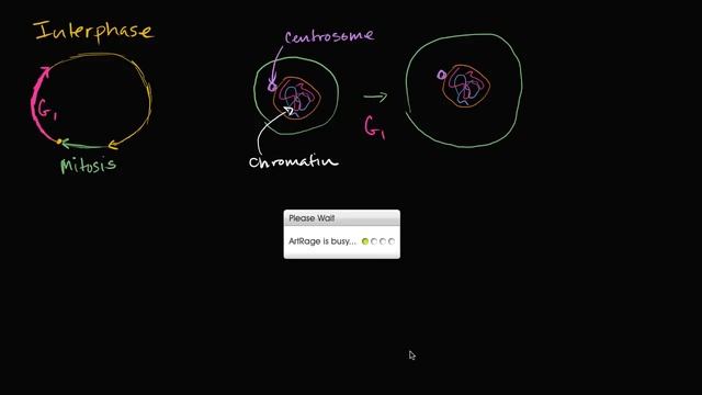 Interphase | Cells | MCAT | Khan Academy смотреть онлайн