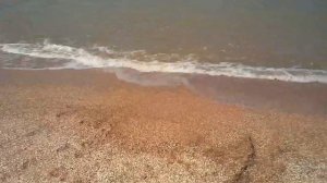 Краснодарский край станица Должанская приехал на дикий пляж . Кафе салют.