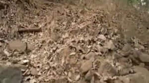 Голливудский фильм