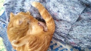 Ражаем первый раз