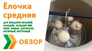 Ёлочка для Тандыра средняя диаметр 23 см