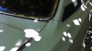 ВОЛГА ГАЗ 3102 - обзор