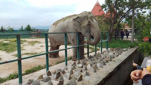 8 июня 2023 г. смотреть онлайн