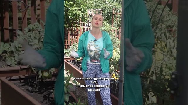 Зачем пасынковать перец?