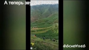 В Китае проснулся дракон? | Драконы существуют? [Секретные материалы]