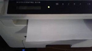 xerox 3119