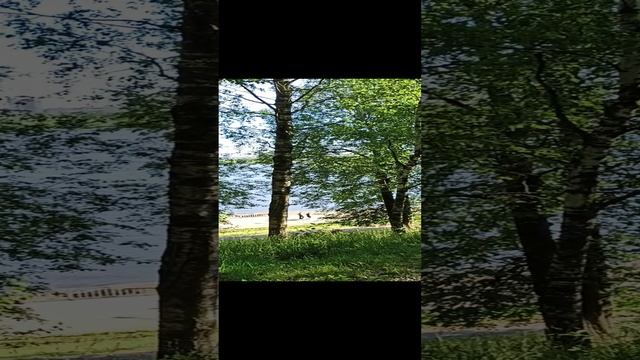 Соборная Горка г. Череповец смотреть онлайн