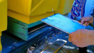 Москитная сетка для вентиляции улья/Moskitonetz zur Belüftung des Bienenstocks.