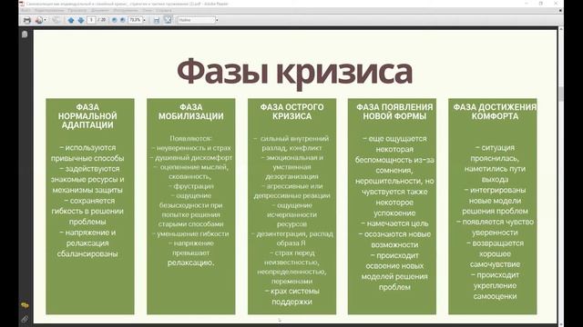 Самоизоляция как индивидуальный и семейный кризис: стратегии и тактики проживания. Ирина Шляпникова смотреть онлайн
