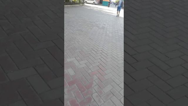 Дорога к прокату от площади Ленина Якутск