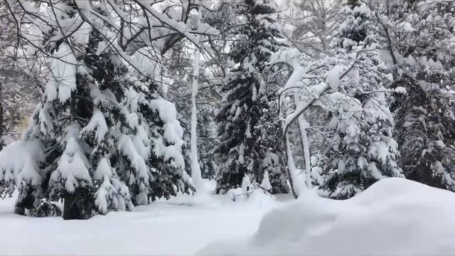 С Рождеством Вас, дорогие друзья!!! смотреть онлайн