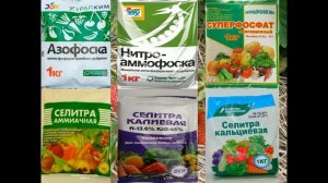 КАКИЕ УДОБРЕНИЯ  ЛУЧШЕ МИНЕРАЛЬНЫЕ ИЛИ ОРГАНИЧЕСКИЕ . ВСЯ ПРАВДА ОБ УДОБРЕНИЯХ.