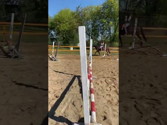 #иппотерапия