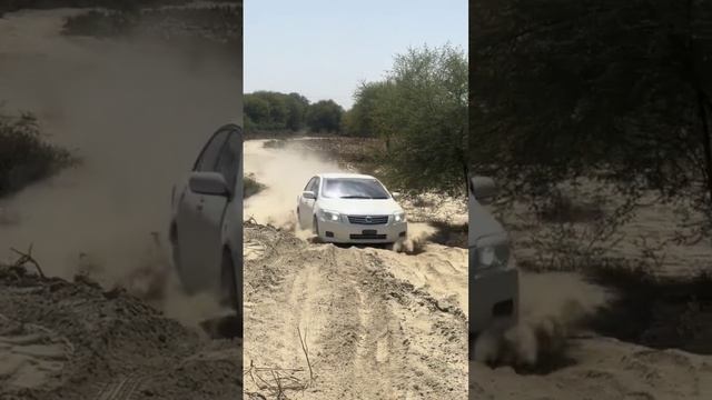 Corolla Axio G swimming in desert