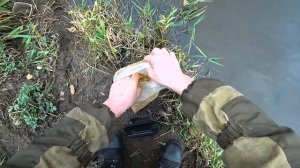 ЛОВЛЯ ЩУКИ НА САМОЛОВКИ(ПОСТАВУШКИ,ЖЕРЛИЦЫ)/РЫБАЛКА С НОЧЁВКОЙ В ПАЛАТКЕ/ЕДА НА КОСТРЕ...