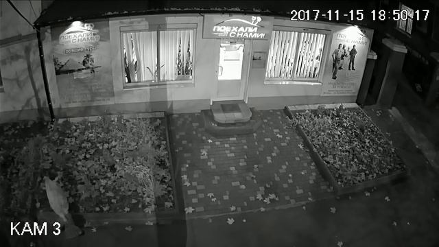 ПН TV: Кража декоративных растений в Николаеве смотреть онлайн