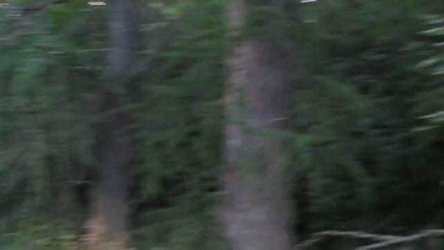Сталк-  Поместье Гридиных южский район