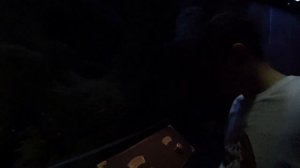 ГАРРИ ПОТТЕР  Студия WARNER BROTHERS ЛОНДОН Музей