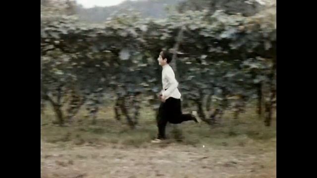 ФРАГМЕНТЫ ИЗ ФИЛЬМА  -ПИРОСМАНИ-