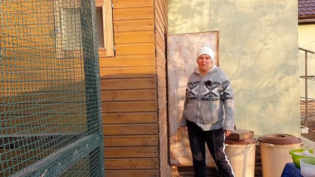 Куры зимой в неотапливаемом курятнике ??? Мои куры несутся зимой как летом!