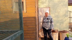 Куры зимой в неотапливаемом курятнике ??? Мои куры несутся зимой как летом!