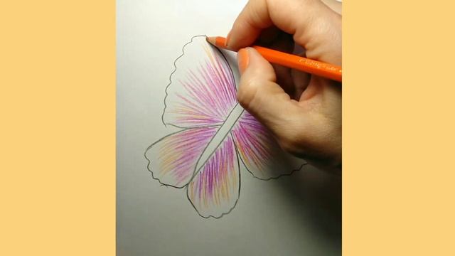 Как нарисовать бабочку цветными карандашами. смотреть онлайн