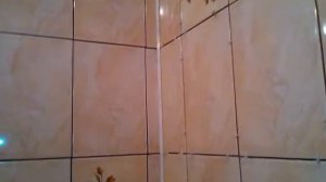 2013 11 03 Облицовка ванной без затирки и люков