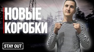 Открываю по совету сталкеров | Stay Out | Stalker Online