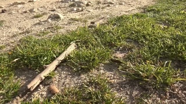 MEJORES MOMENTOS PREMIOS ESLAND SEGUNDA EDICIÓN EN MÉXICO by TheGrefg смотреть онлайн