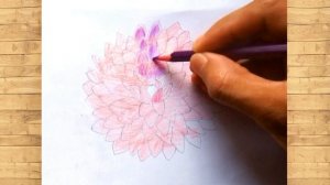 How to Draw a Dahlia Flower Step by Step ?️ Dahlia Flower Drawing Easy