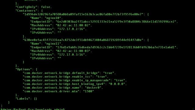 Docker Networking: Bridge, Host, Null Network Drivers смотреть онлайн