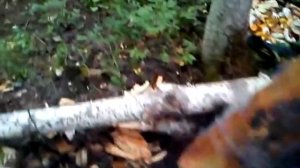 долго горящий костёр и вода в корзине