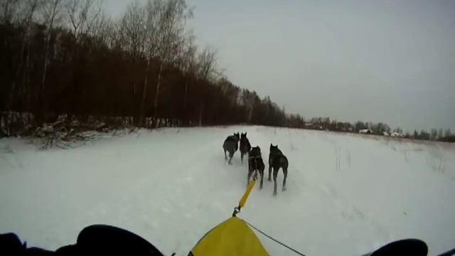 Гонка "Сильные Духом" 2012. 1 этап. 5 км. смотреть онлайн