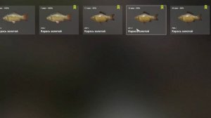 Русская рыбалка 4. Река Белая густера и елец на маховое. РР4 2023 в 4K