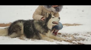 Ксения Корнеева - Я Буду Верить / ELLO UP^ /