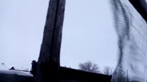 Содержание овец зимой без сарая