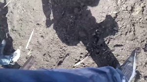 культиватор талер мастер14000 по сырой земле с трактором к730м