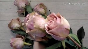 Роза Амнезия