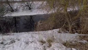 Рыбалка на спиннинг.Есть бобры.Река Гжелка.Улов как всегда...