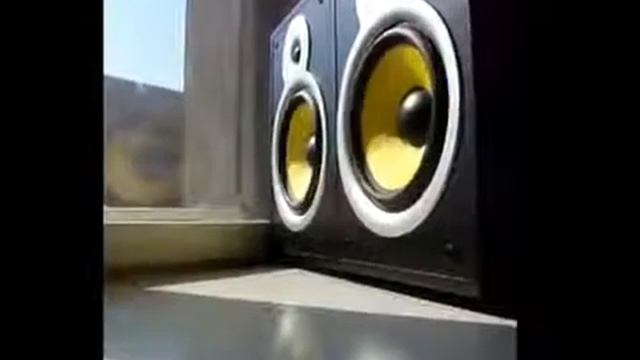 Мой сосед. Мои соседи слушают хорошую музыку. Разные колонки. Девушка диджей. Включи песню на моей колонки.