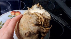 Корень сельдерея ! Готовлю салат из сельдерея