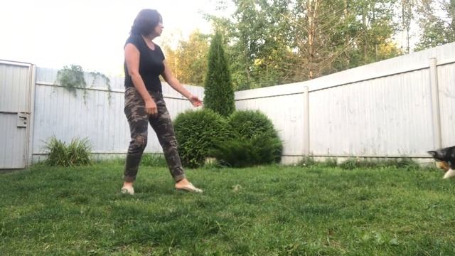 Команда АПОРТ и НЕЛЬЗЯ - как научить щенка команде НЕЛЬЗЯ смотреть онлайн