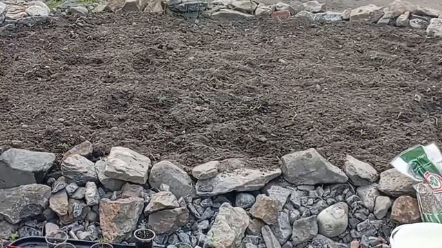 Субботник.(часть 3) Высадка бархатцев на клумбы. смотреть онлайн